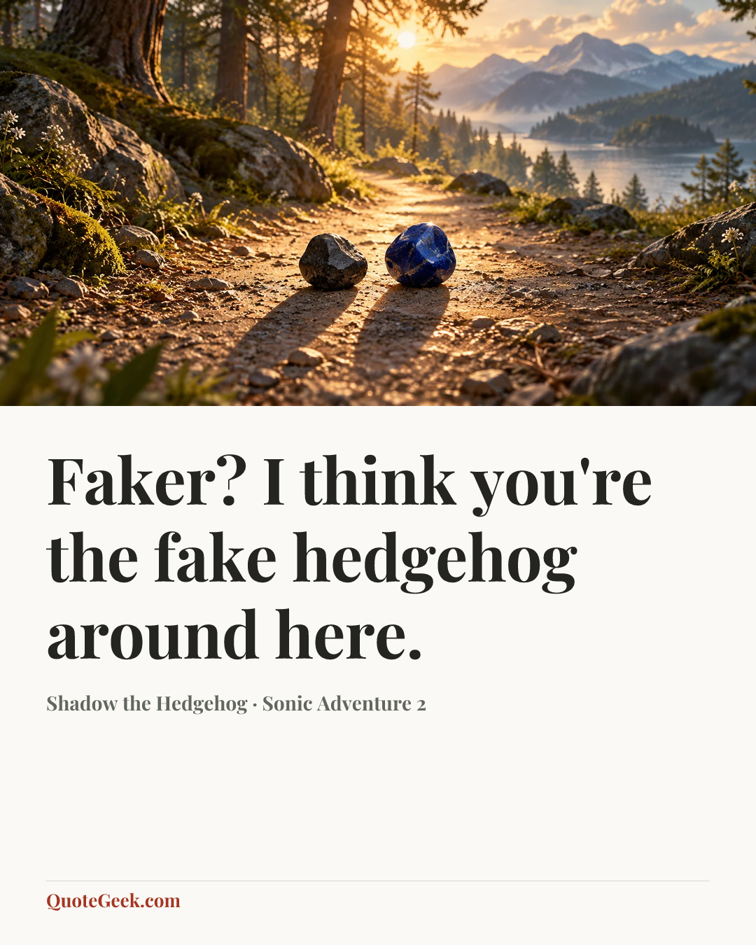 “Faker? I think you're the fake hedgehog around here.” — Shadow the Hedgehog · Sonic Adventure 2. Illustrated QuoteGeek card.
