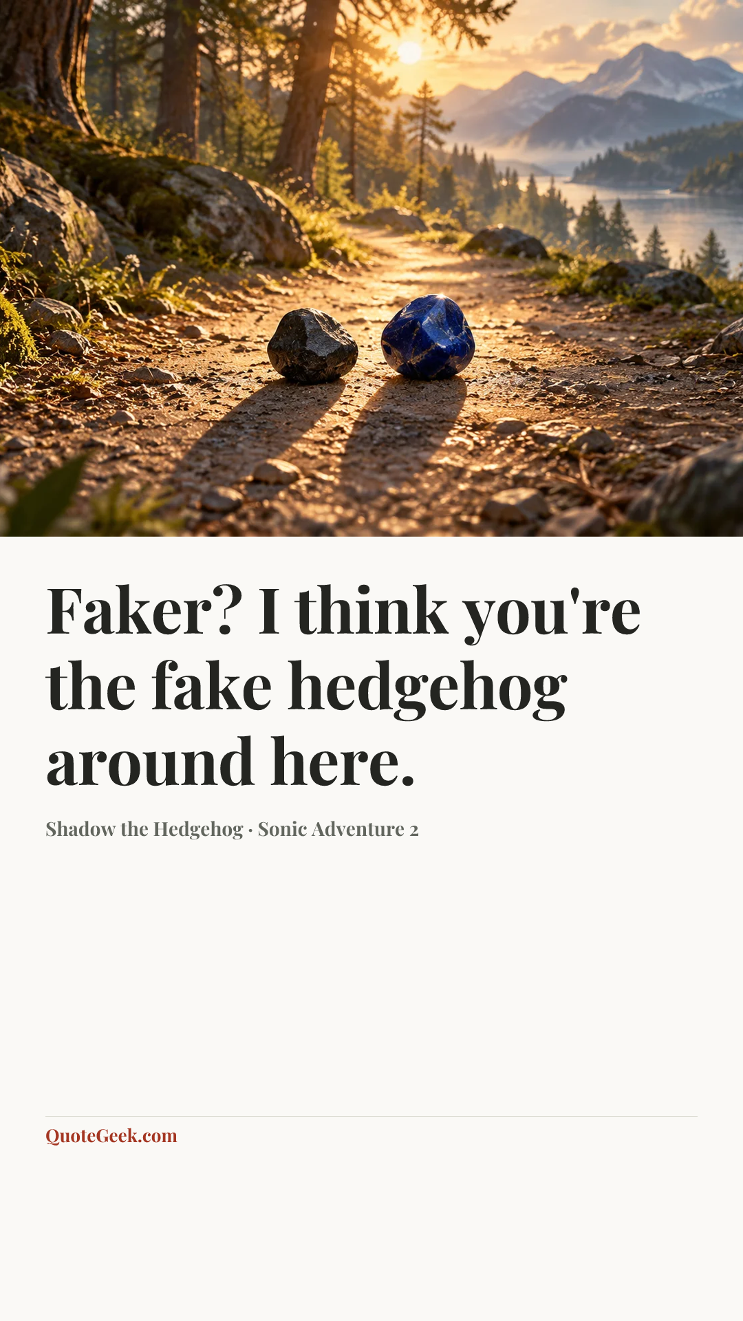 “Faker? I think you're the fake hedgehog around here.” — Shadow the Hedgehog · Sonic Adventure 2. Illustrated QuoteGeek card.