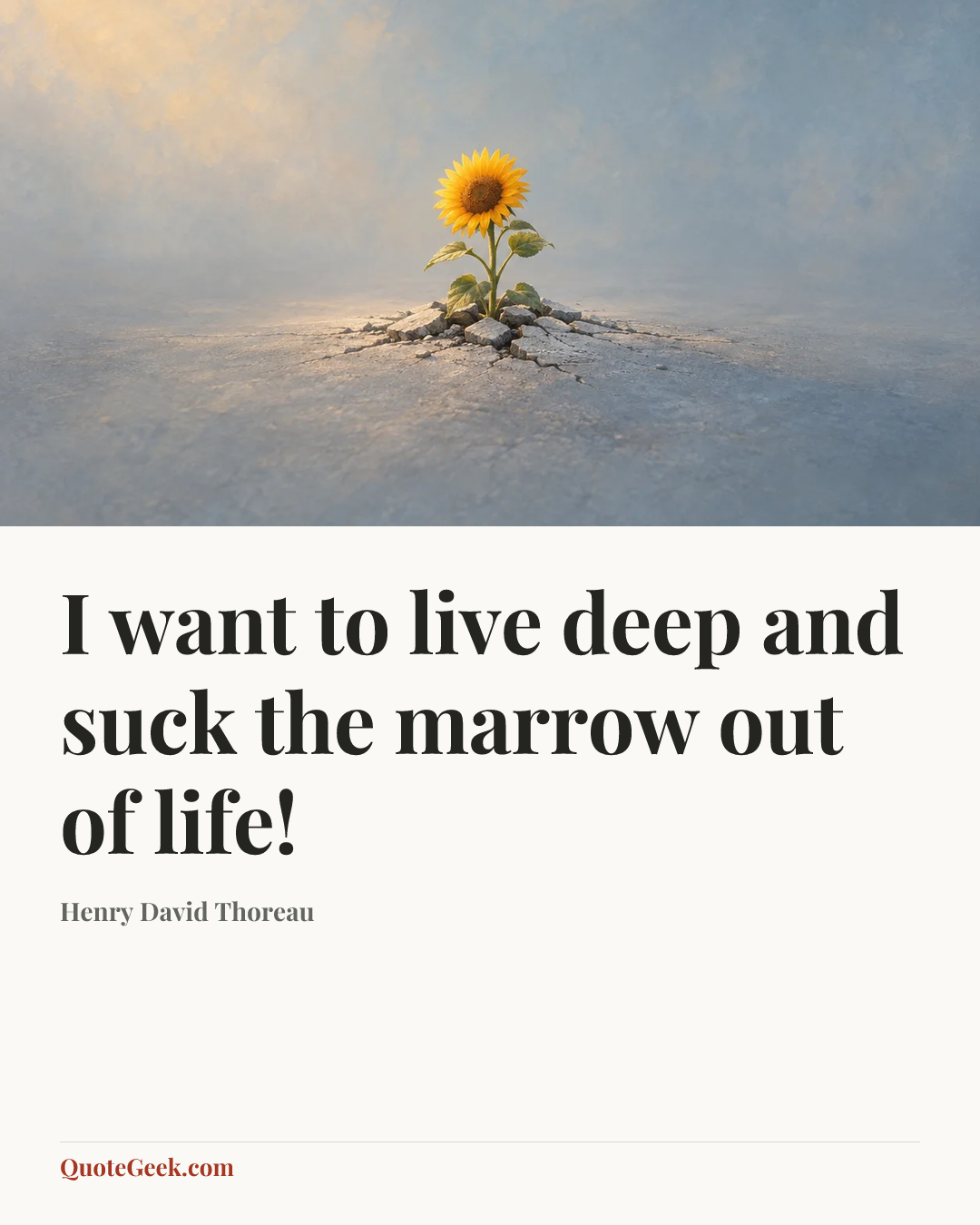 “I want to live deep and suck the marrow out of life!” — Henry David Thoreau. Illustrated QuoteGeek card.