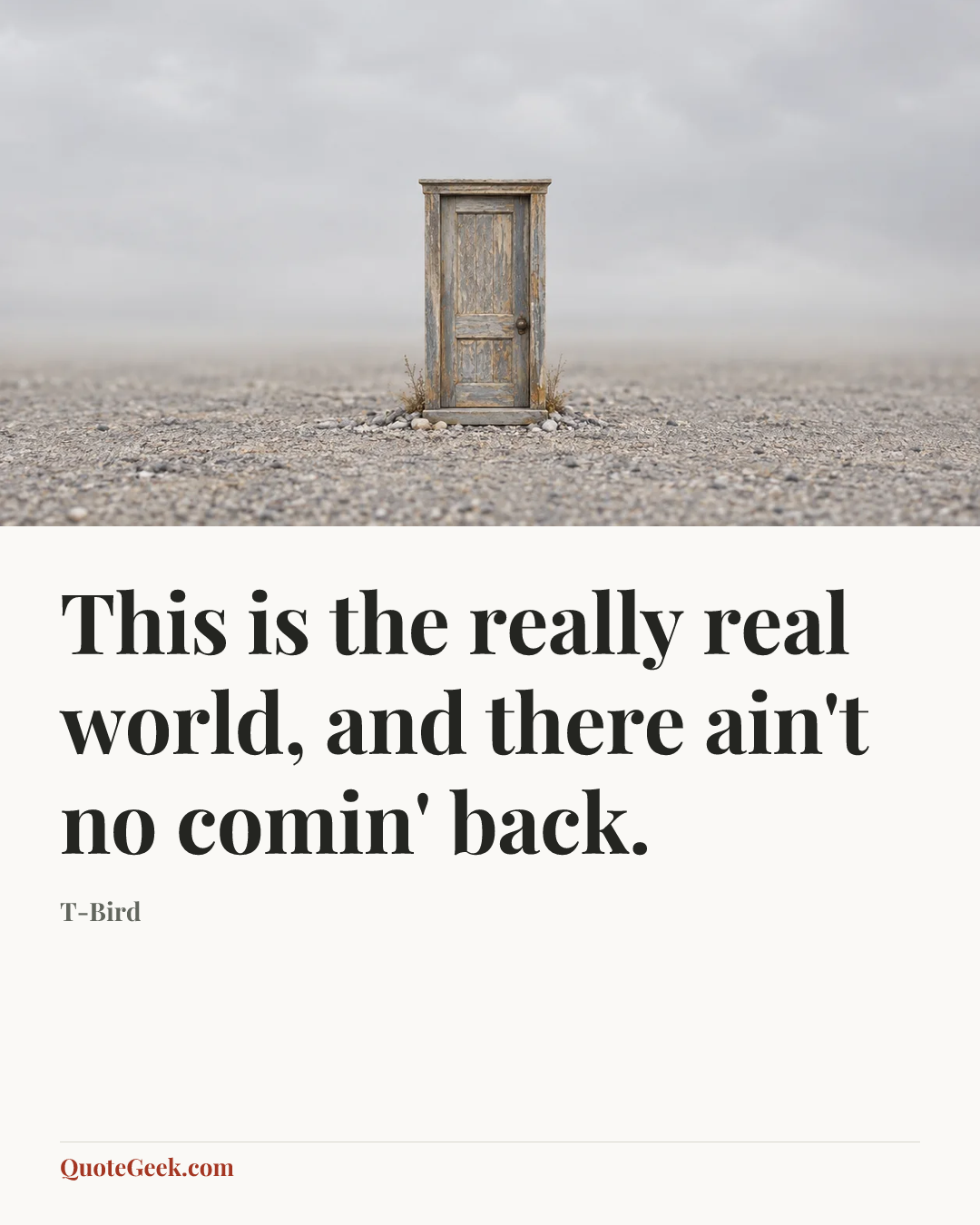 “This is the really real world, and there ain't no comin' back.” — T-Bird. Illustrated QuoteGeek card.
