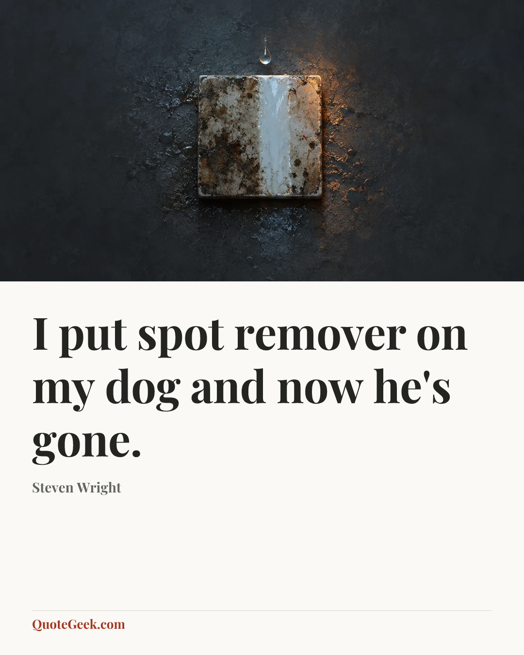 “I put spot remover on my dog and now he's gone.” — Steven Wright. Illustrated QuoteGeek card.