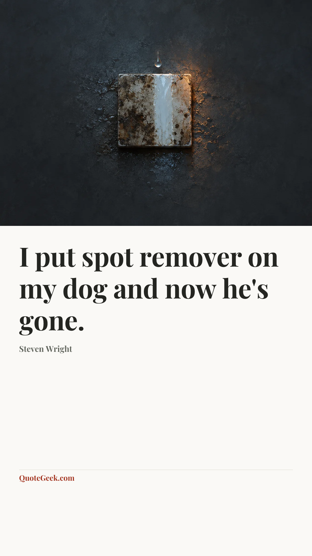 “I put spot remover on my dog and now he's gone.” — Steven Wright. Illustrated QuoteGeek card.