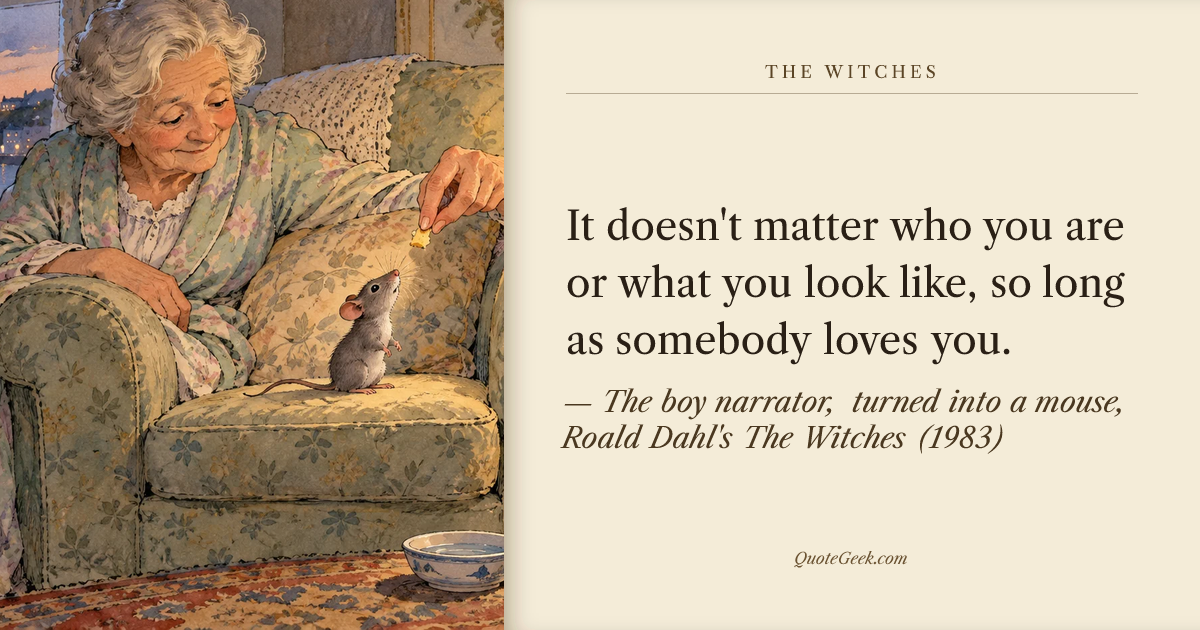 “It doesn't matter who you are or what you look like, so long as somebody loves you.” — The boy narrator, turned into a mouse, Roald Dahl's The Witches (1983) · The Witches. Illustrated QuoteGeek card.