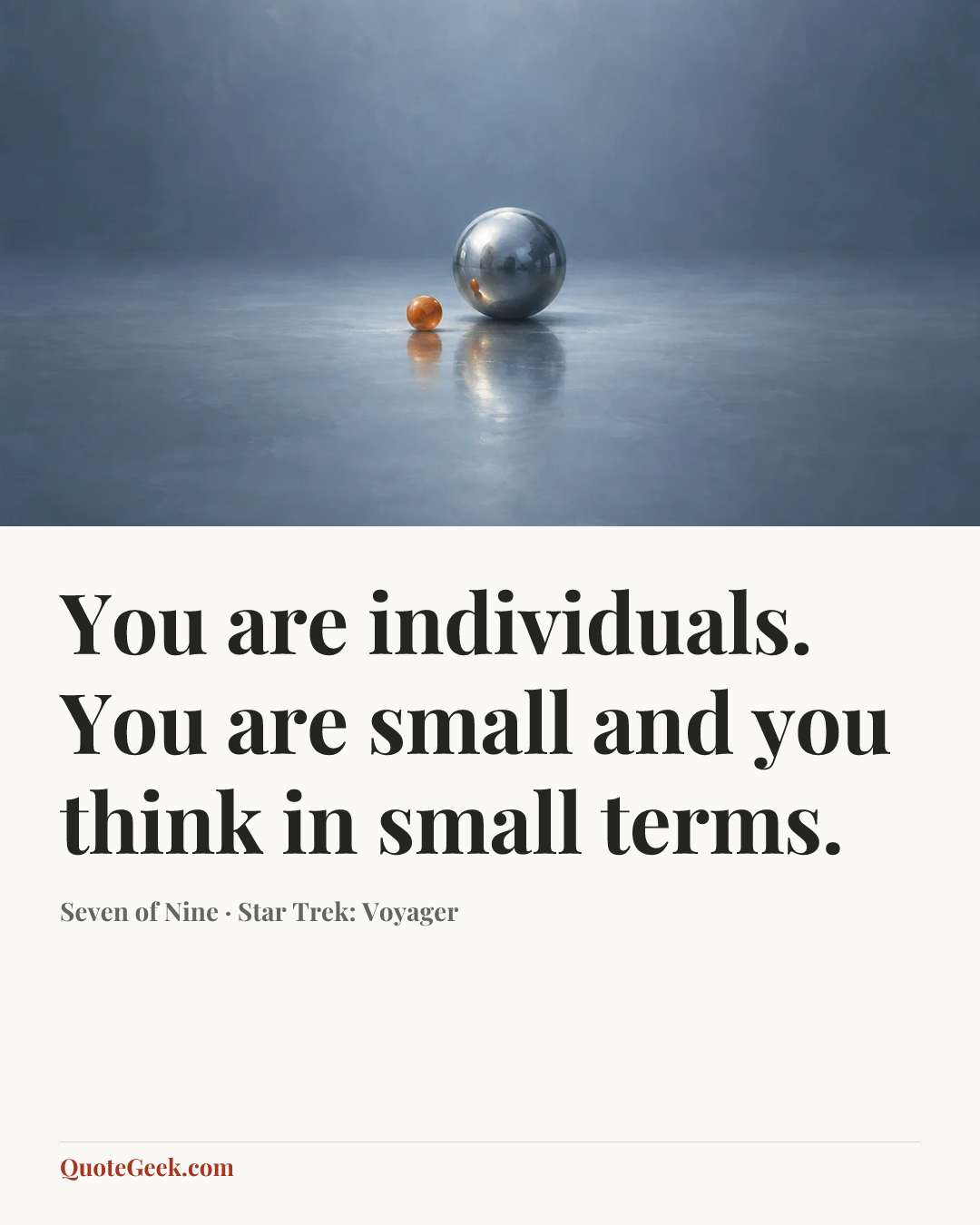 “You are individuals. You are small and you think in small terms.” — Seven of Nine · Star Trek: Voyager. Illustrated QuoteGeek card.
