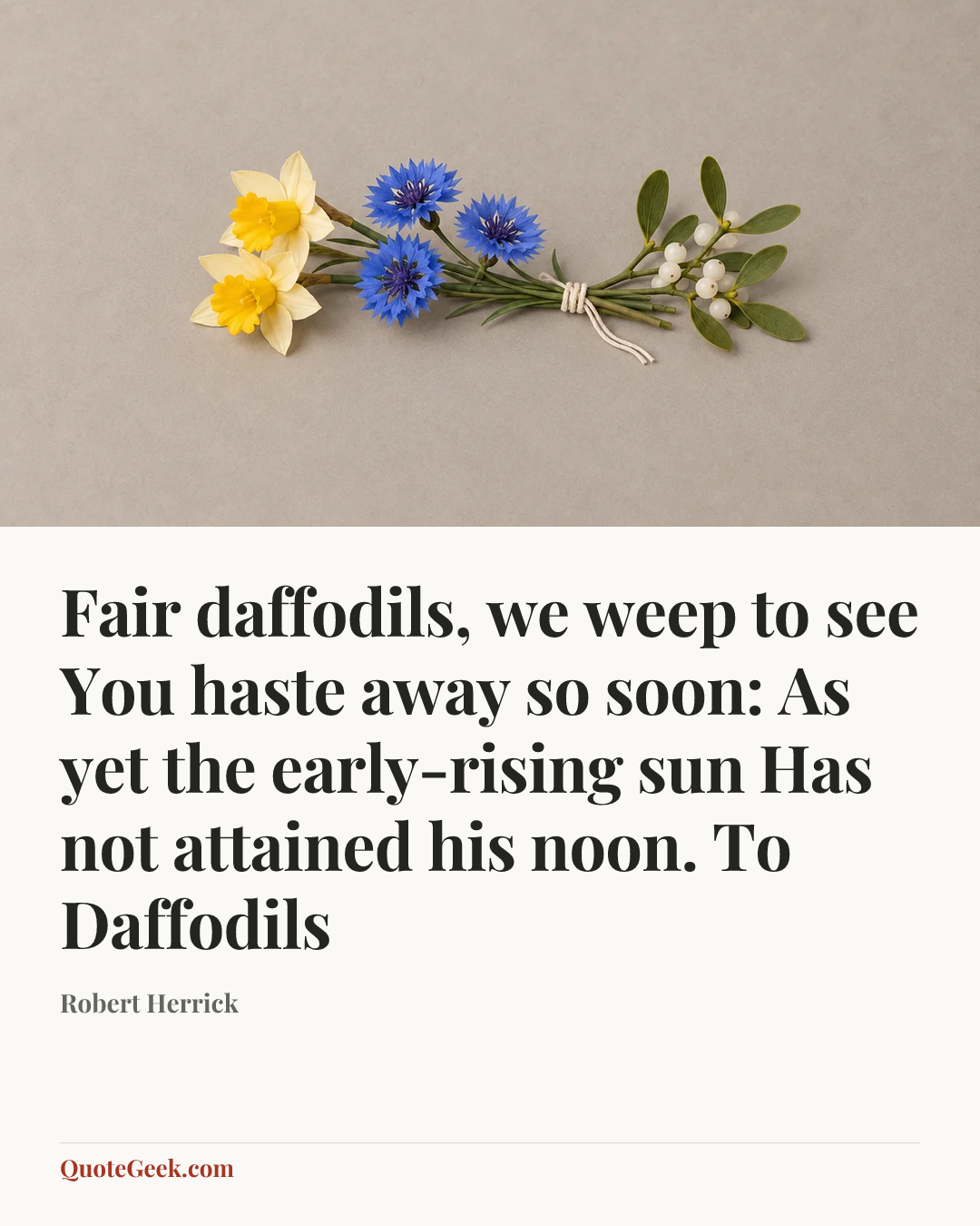 “Fair daffodils, we weep to see
You haste away so soon:
As yet the early-rising sun
Has not attained his noon.
To Daffodils” — Robert Herrick. Illustrated QuoteGeek card.