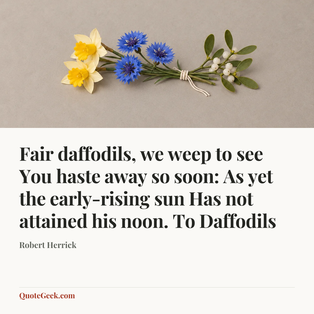 “Fair daffodils, we weep to see
You haste away so soon:
As yet the early-rising sun
Has not attained his noon.
To Daffodils” — Robert Herrick. Illustrated QuoteGeek card.