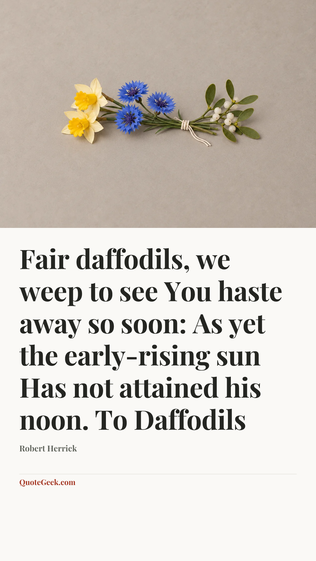 “Fair daffodils, we weep to see
You haste away so soon:
As yet the early-rising sun
Has not attained his noon.
To Daffodils” — Robert Herrick. Illustrated QuoteGeek card.