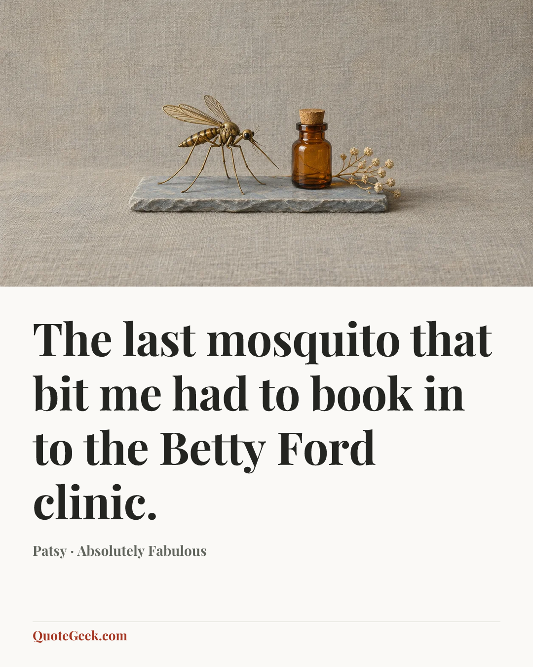 “The last mosquito that bit me had to book in to the Betty Ford clinic.” — Patsy · Absolutely Fabulous. Illustrated QuoteGeek card.