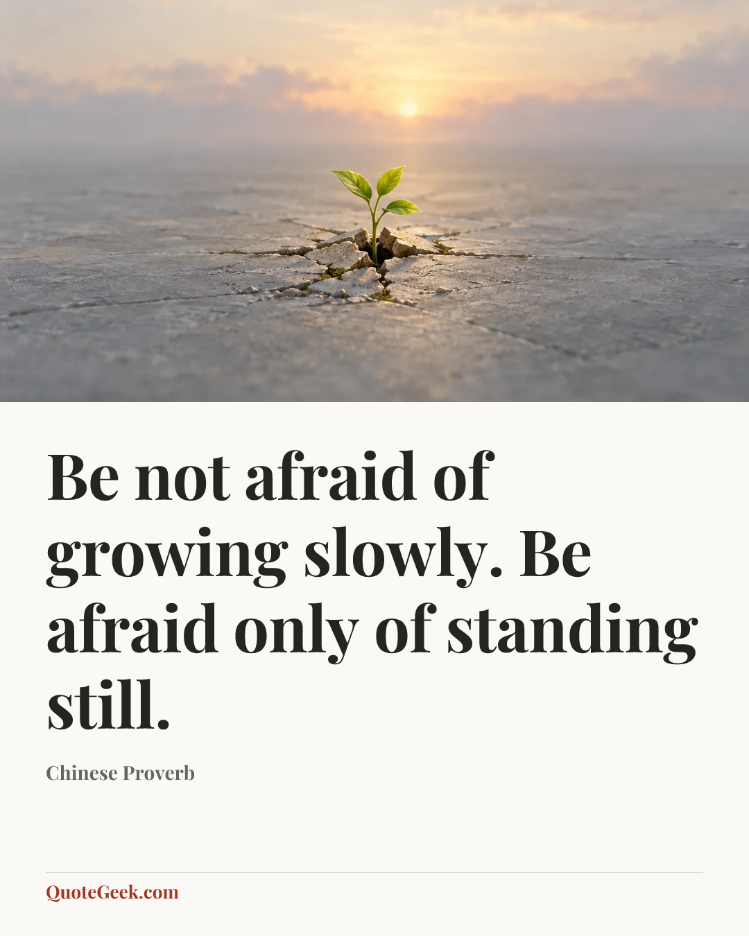 “Be not afraid of growing slowly.
Be afraid only of standing still.” — Chinese Proverb. Illustrated QuoteGeek card.