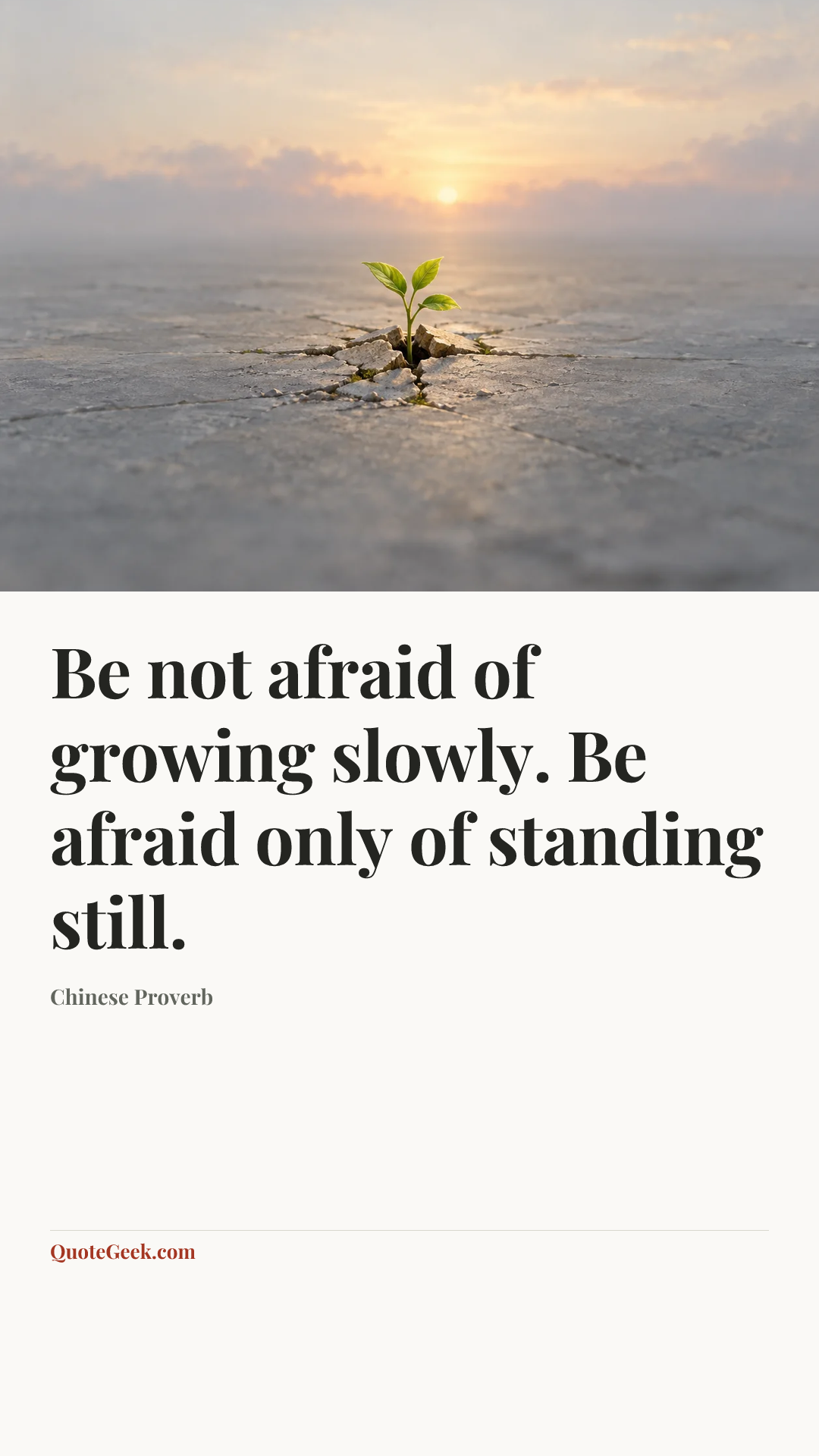 “Be not afraid of growing slowly.
Be afraid only of standing still.” — Chinese Proverb. Illustrated QuoteGeek card.