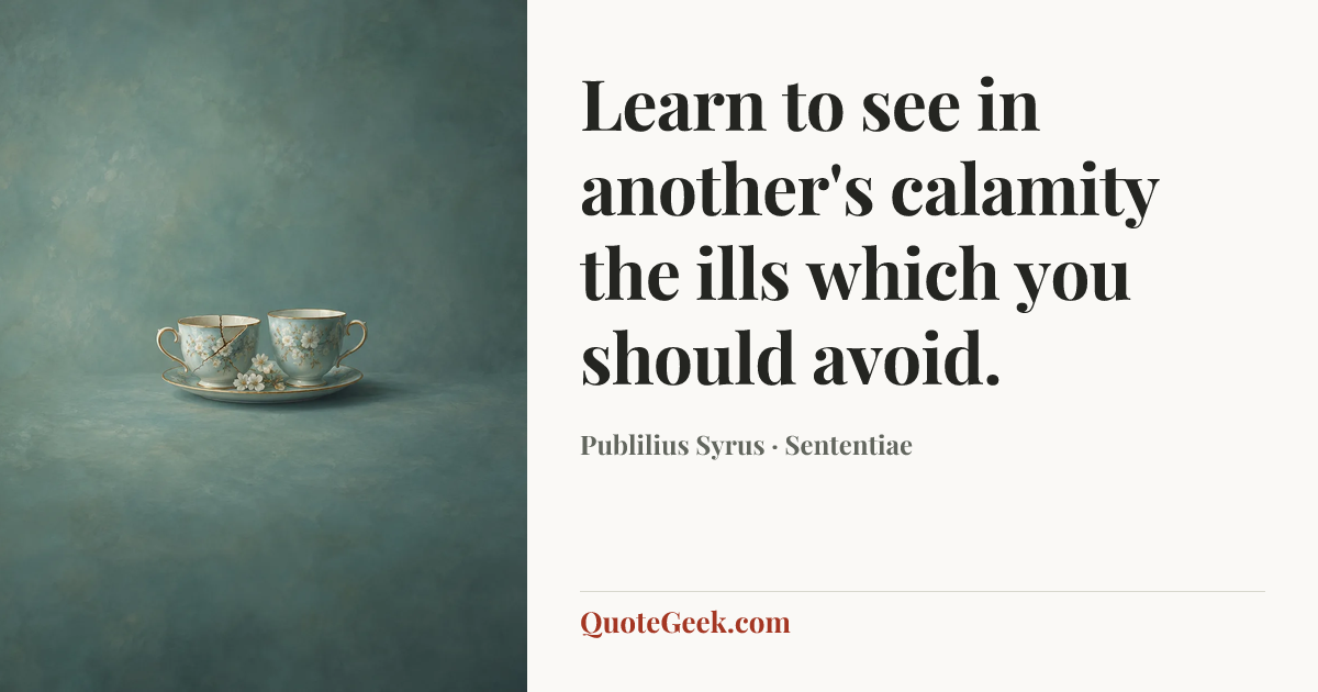 “Learn to see in another's calamity the ills which you should avoid.” — Publilius Syrus · Sententiae. Illustrated QuoteGeek card.