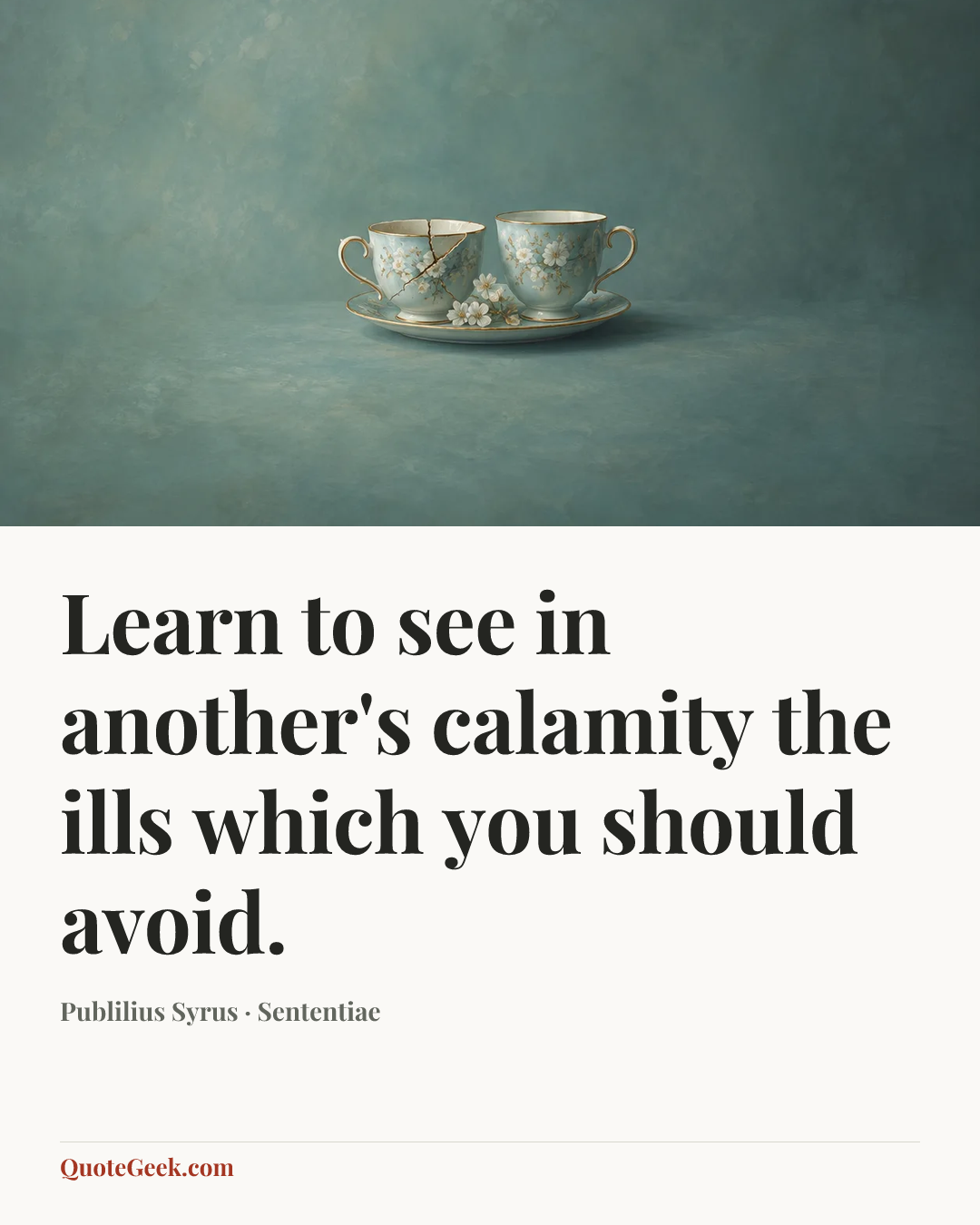 “Learn to see in another's calamity the ills which you should avoid.” — Publilius Syrus · Sententiae. Illustrated QuoteGeek card.