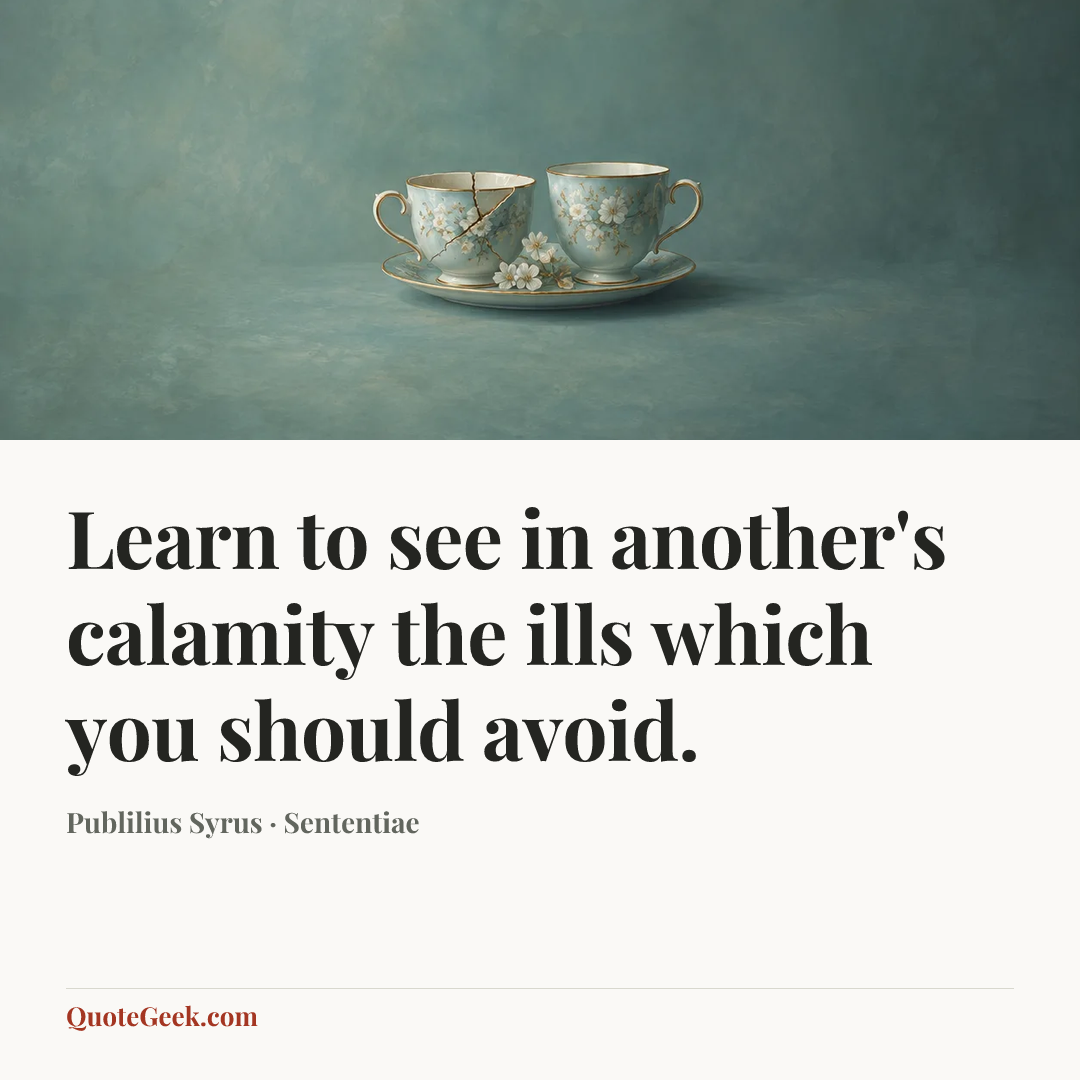 “Learn to see in another's calamity the ills which you should avoid.” — Publilius Syrus · Sententiae. Illustrated QuoteGeek card.