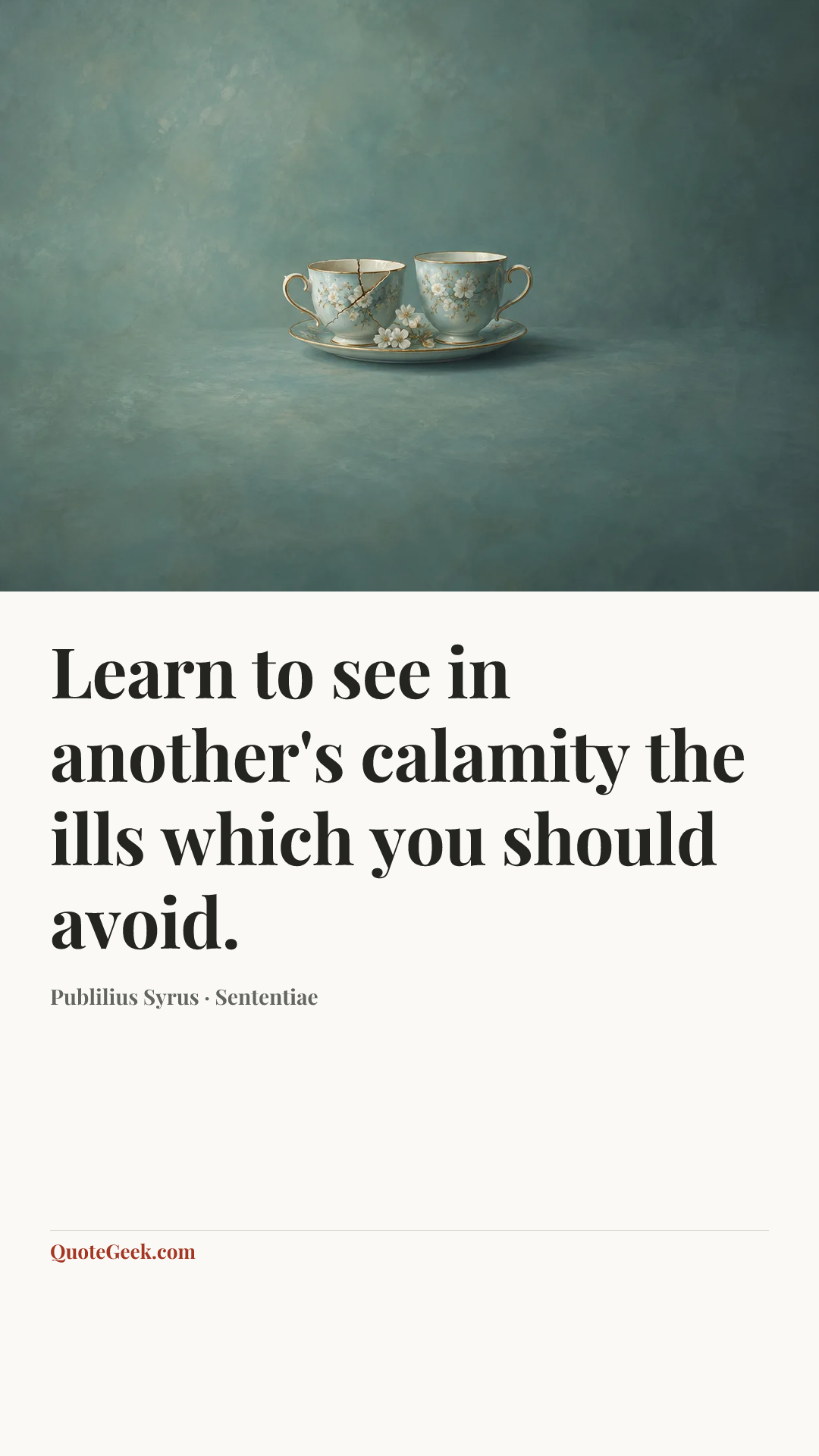 “Learn to see in another's calamity the ills which you should avoid.” — Publilius Syrus · Sententiae. Illustrated QuoteGeek card.