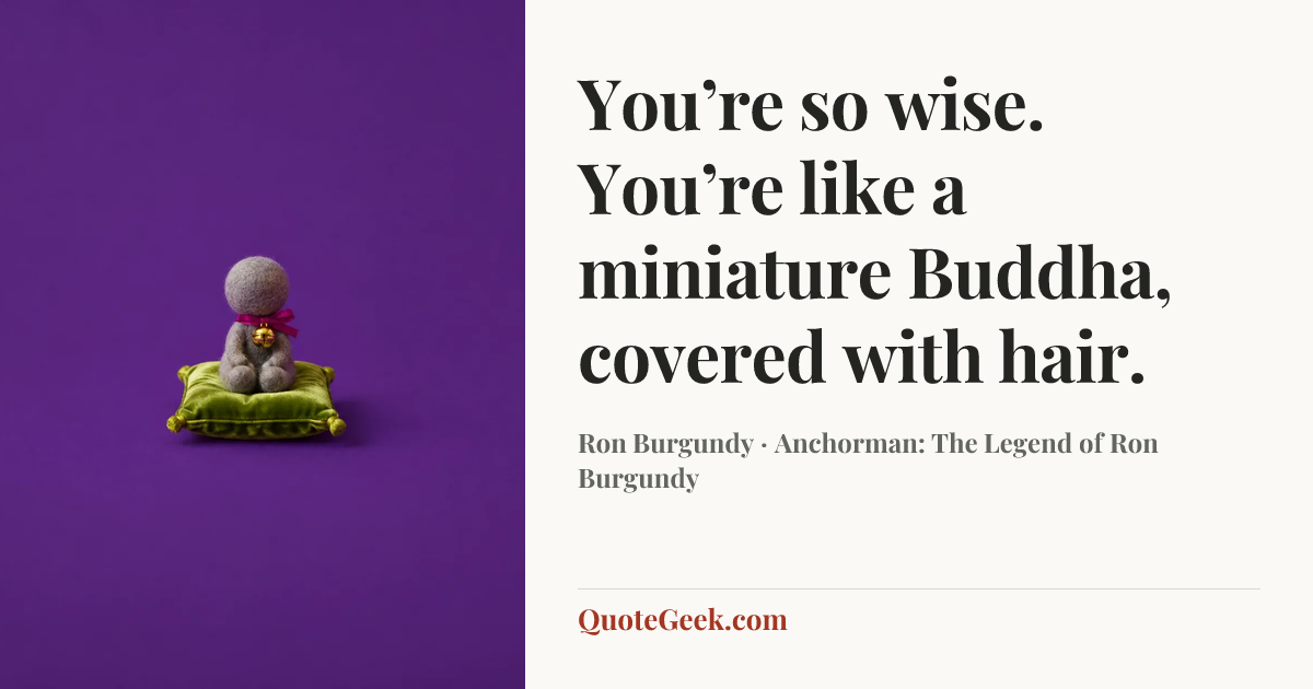 “You’re so wise. You’re like a miniature Buddha, covered with hair.” — Ron Burgundy · Anchorman: The Legend of Ron Burgundy. Illustrated QuoteGeek card.