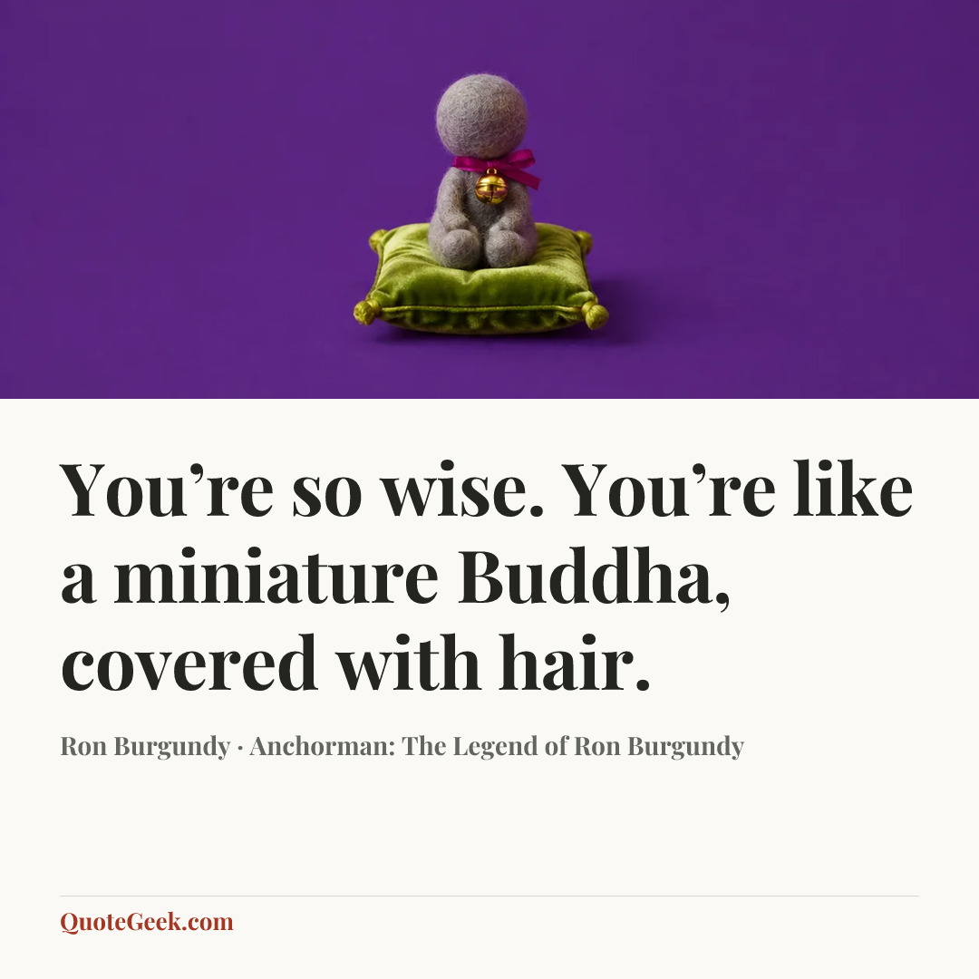 “You’re so wise. You’re like a miniature Buddha, covered with hair.” — Ron Burgundy · Anchorman: The Legend of Ron Burgundy. Illustrated QuoteGeek card.