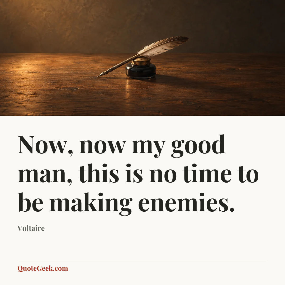 “Now, now my good man, this is no time to be making enemies.” — Voltaire. Illustrated QuoteGeek card.