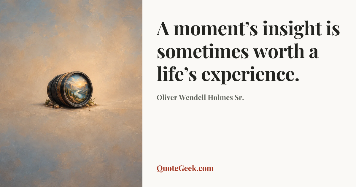 “A moment’s insight is sometimes worth a life’s experience.” — Oliver Wendell Holmes Sr.. Illustrated QuoteGeek card.