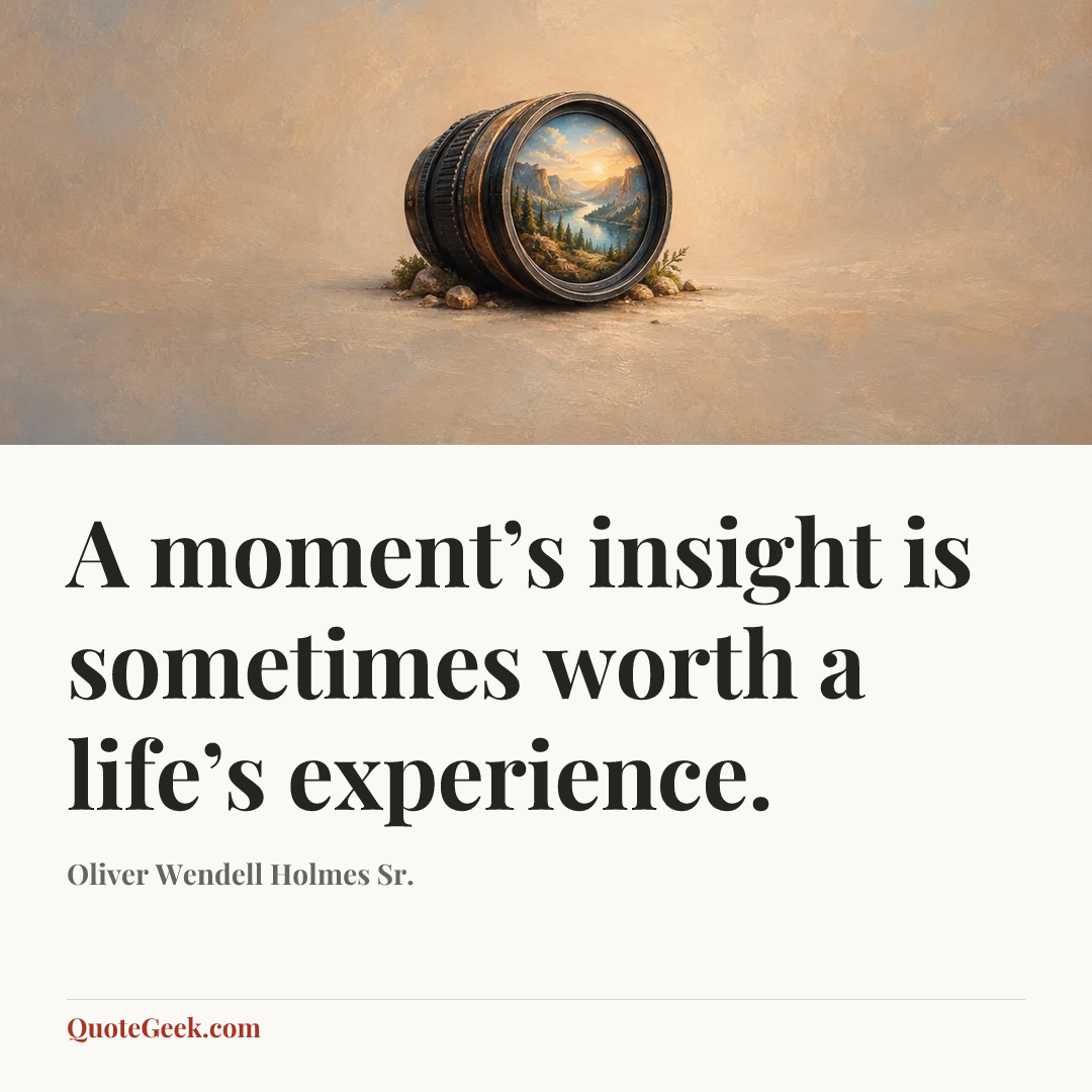 “A moment’s insight is sometimes worth a life’s experience.” — Oliver Wendell Holmes Sr.. Illustrated QuoteGeek card.