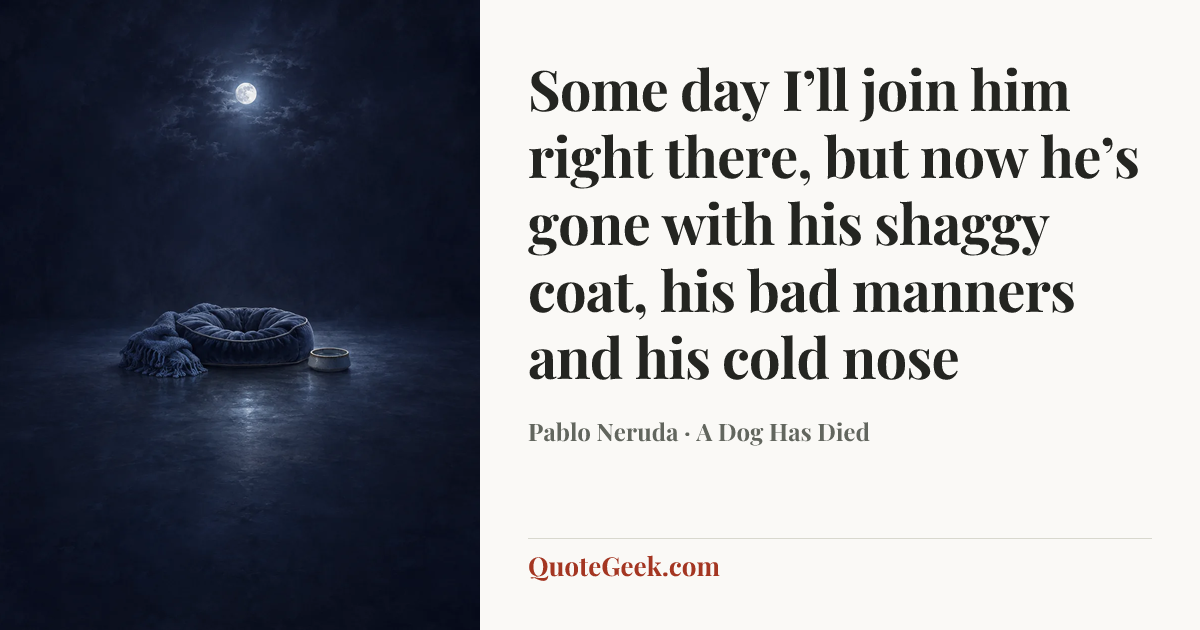 “Some day I’ll join him right there,
but now he’s gone with his shaggy coat,
his bad manners and his cold nose” — Pablo Neruda · A Dog Has Died. Illustrated QuoteGeek card.