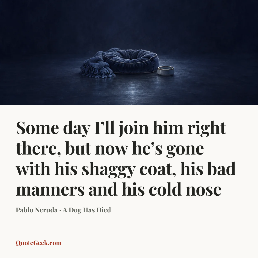 “Some day I’ll join him right there,
but now he’s gone with his shaggy coat,
his bad manners and his cold nose” — Pablo Neruda · A Dog Has Died. Illustrated QuoteGeek card.