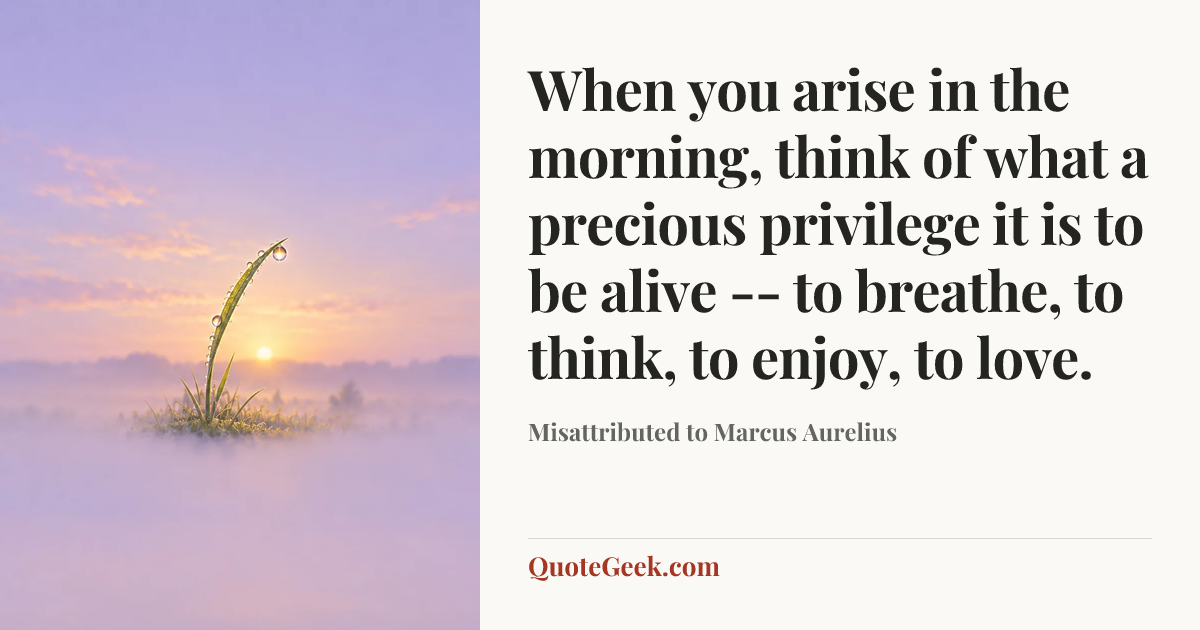 “When you arise in the morning, think of what a precious privilege it is to be alive -- to breathe, to think, to enjoy, to love.” — Misattributed to Marcus Aurelius. Illustrated QuoteGeek card.