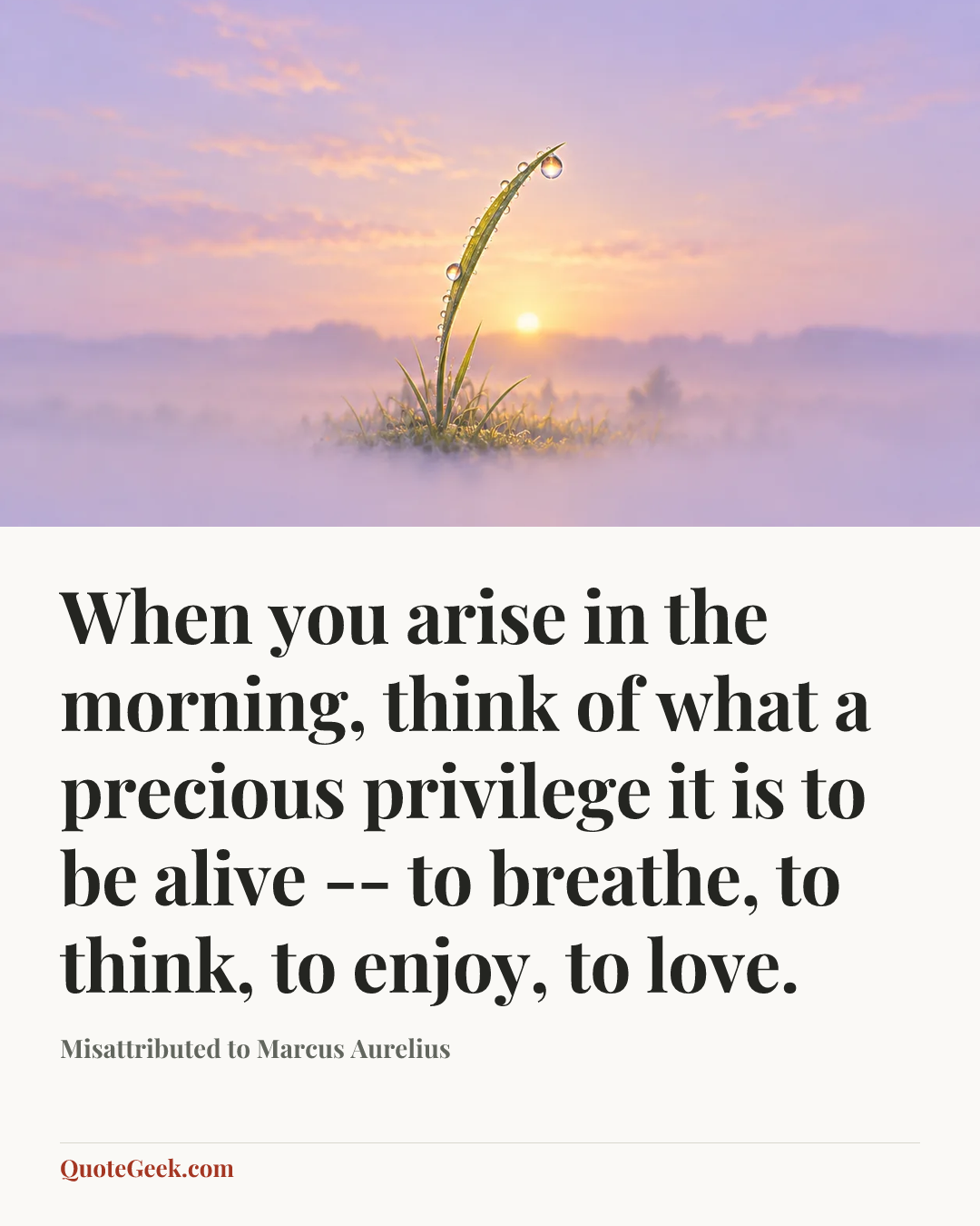 “When you arise in the morning, think of what a precious privilege it is to be alive -- to breathe, to think, to enjoy, to love.” — Misattributed to Marcus Aurelius. Illustrated QuoteGeek card.
