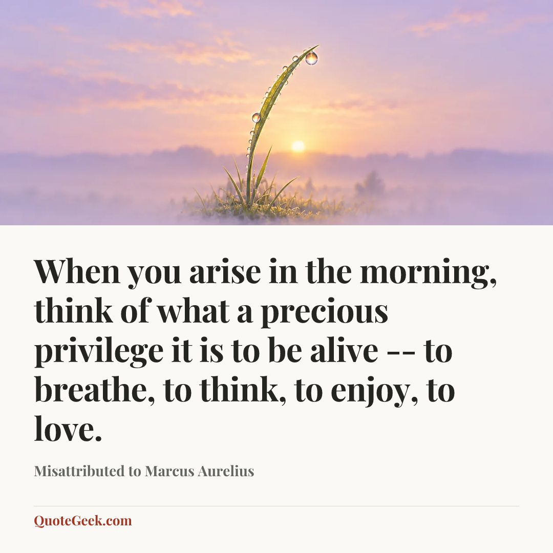 “When you arise in the morning, think of what a precious privilege it is to be alive -- to breathe, to think, to enjoy, to love.” — Misattributed to Marcus Aurelius. Illustrated QuoteGeek card.