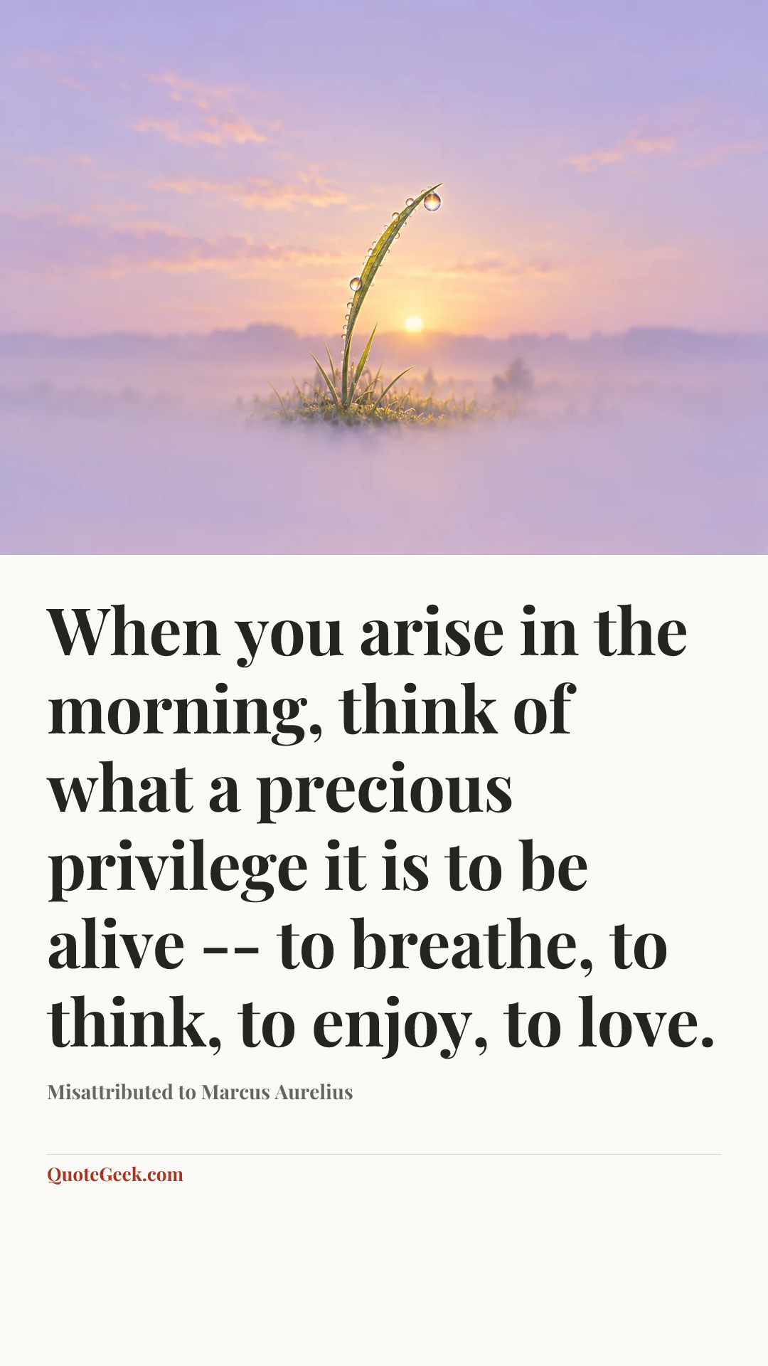 “When you arise in the morning, think of what a precious privilege it is to be alive -- to breathe, to think, to enjoy, to love.” — Misattributed to Marcus Aurelius. Illustrated QuoteGeek card.