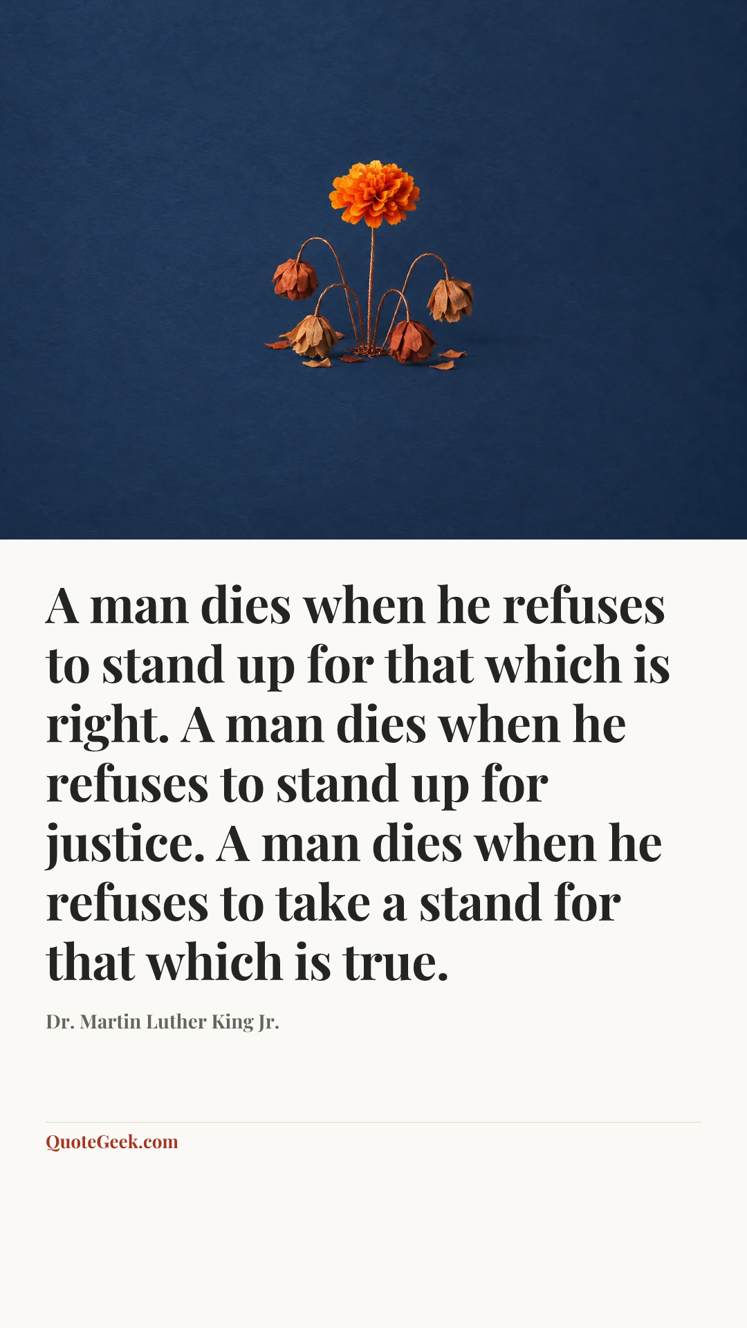 “A man dies when he refuses to stand up for that which is right. A man dies when he refuses to stand up for justice. A man dies when he refuses to take a stand for that which is true.” — Dr. Martin Luther King Jr.. Illustrated QuoteGeek card.