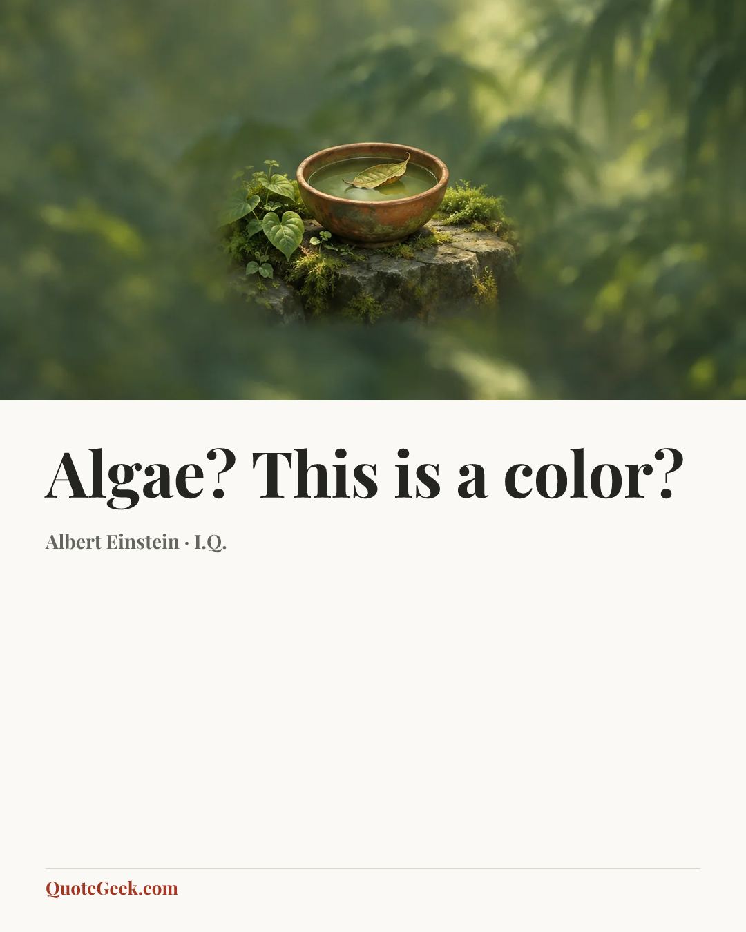 “Algae? This is a color?” — Albert Einstein · I.Q.. Illustrated QuoteGeek card.