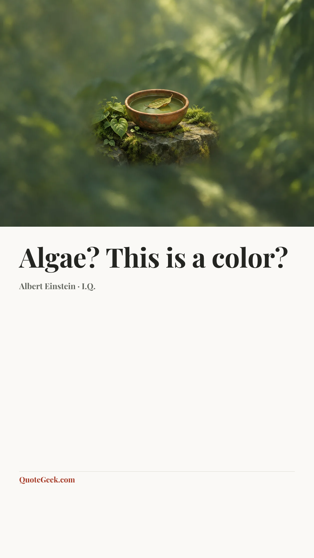 “Algae? This is a color?” — Albert Einstein · I.Q.. Illustrated QuoteGeek card.