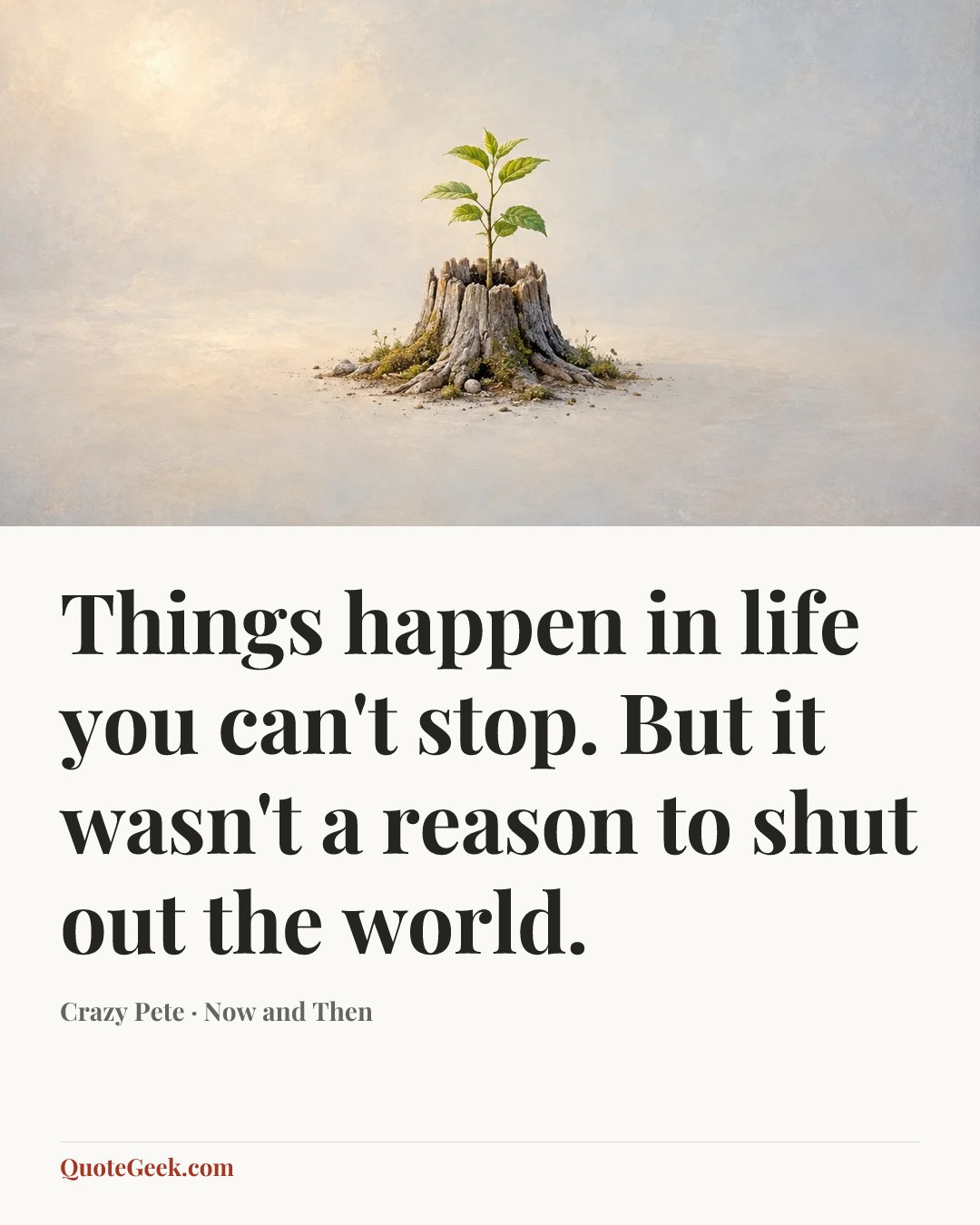 “Things happen in life you can't stop. But it wasn't a reason to shut out the world.” — Crazy Pete · Now and Then. Illustrated QuoteGeek card.