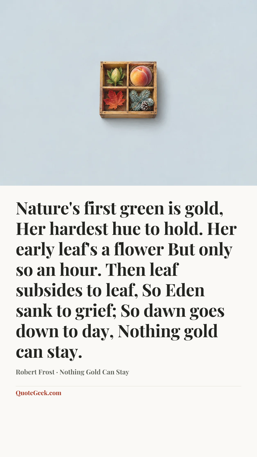 “Nature's first green is gold,
Her hardest hue to hold.
Her early leaf's a flower
But only so an hour.
Then leaf subsides to leaf,
So Eden sank to grief;
So dawn goes down to day,
Nothing gold can stay.” — Robert Frost · Nothing Gold Can Stay. Illustrated QuoteGeek card.