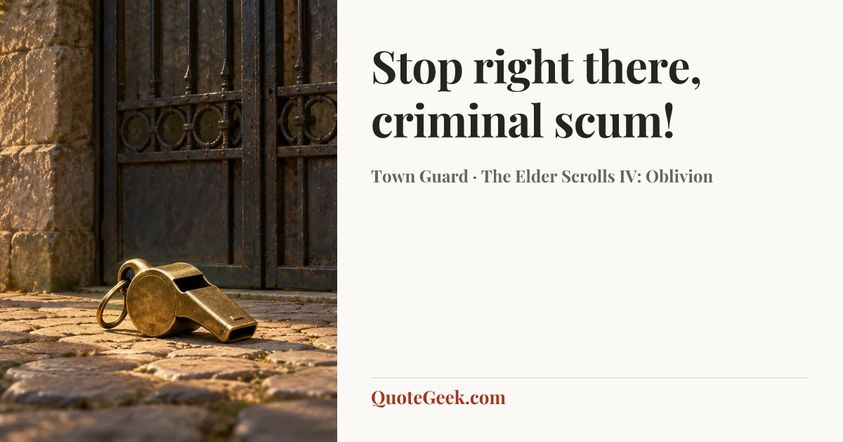 “Stop right there, criminal scum!” — Town Guard · The Elder Scrolls IV: Oblivion. Illustrated QuoteGeek card.