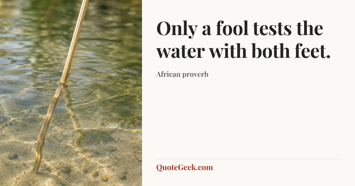 “Only a fool tests the water with both feet.” — African proverb. Illustrated QuoteGeek card.