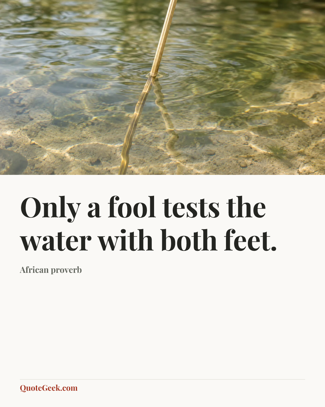 “Only a fool tests the water with both feet.” — African proverb. Illustrated QuoteGeek card.