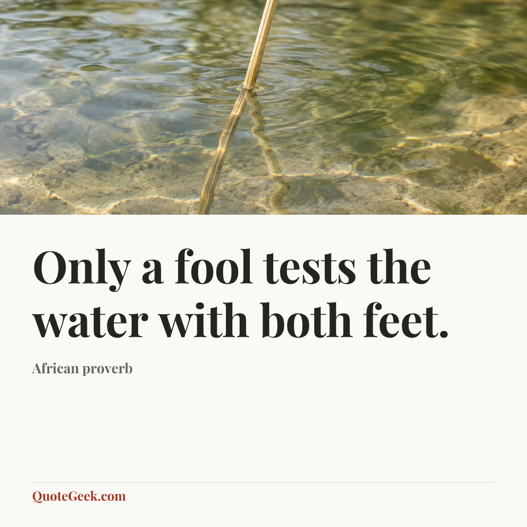 “Only a fool tests the water with both feet.” — African proverb. Illustrated QuoteGeek card.