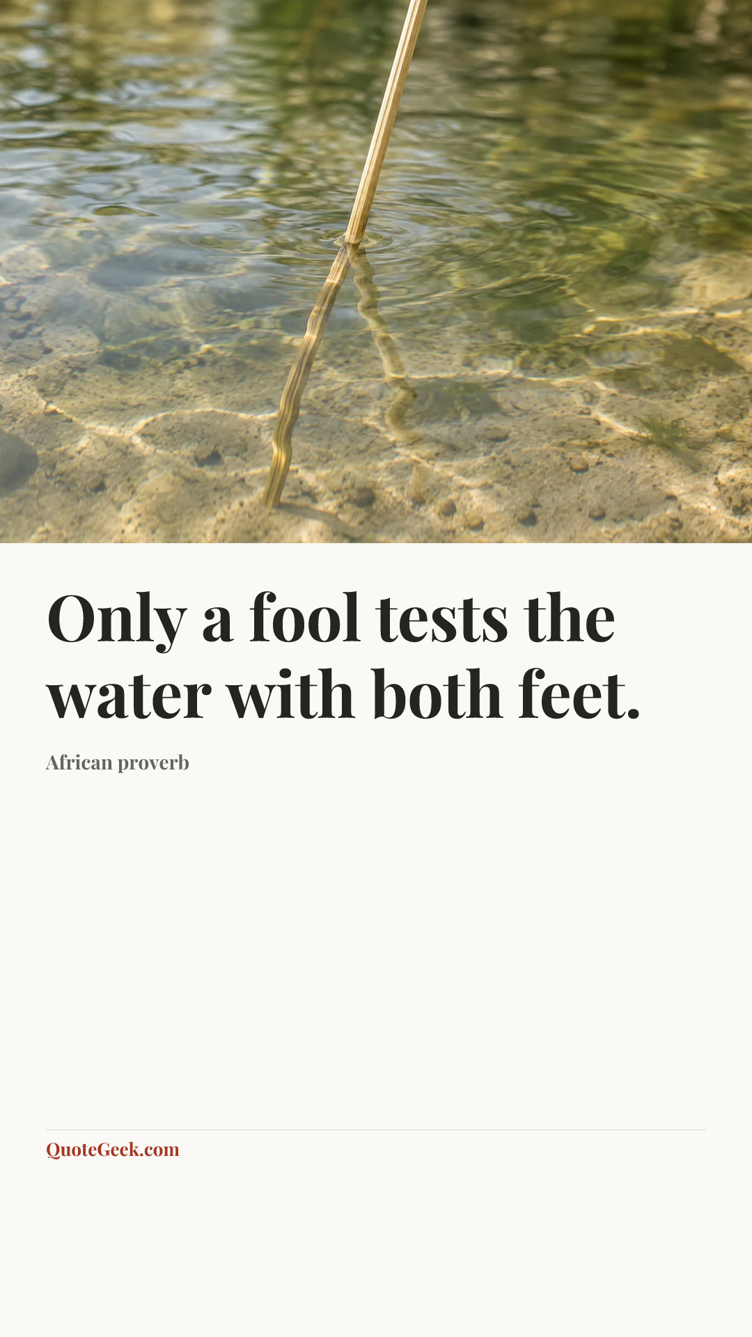 “Only a fool tests the water with both feet.” — African proverb. Illustrated QuoteGeek card.