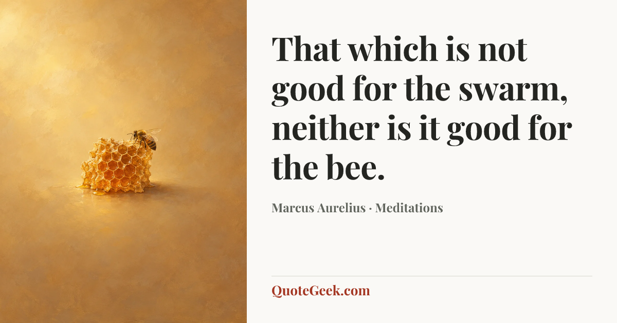 “That which is not good for the swarm, neither is it good for the bee.” — Marcus Aurelius · Meditations. Illustrated QuoteGeek card.