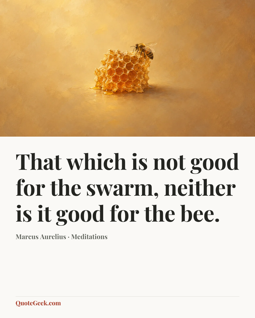 “That which is not good for the swarm, neither is it good for the bee.” — Marcus Aurelius · Meditations. Illustrated QuoteGeek card.