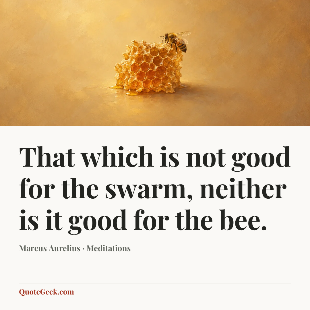 “That which is not good for the swarm, neither is it good for the bee.” — Marcus Aurelius · Meditations. Illustrated QuoteGeek card.